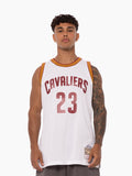 LeBron James Cleveland Cavaliers 2015/16 Throwback NBA Swingman Jersey