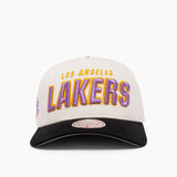 Los Angeles Lakers 1996 Draft Pro Crown NBA Snapback Hat