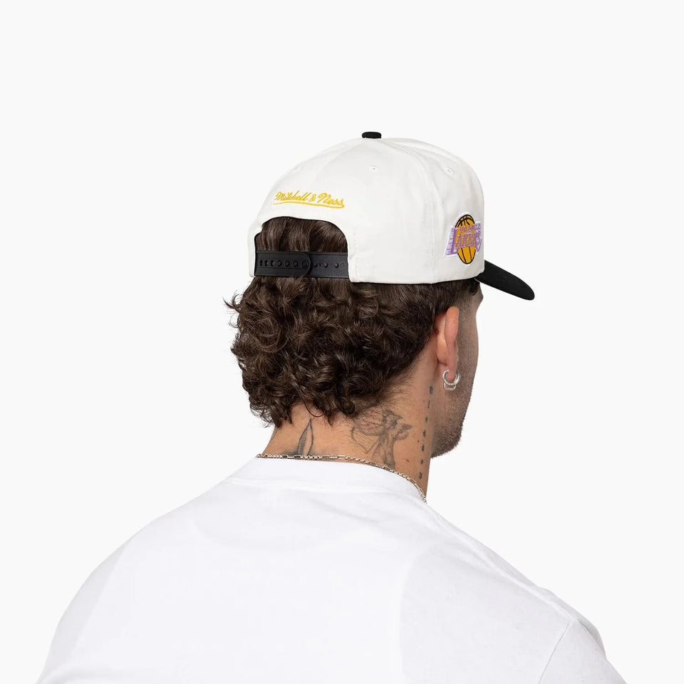 Los Angeles Lakers 1996 Draft Pro Crown NBA Snapback Hat